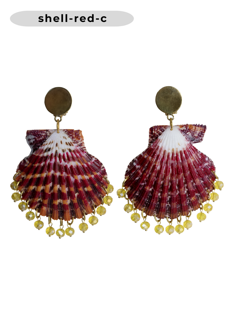 Shell Earrings