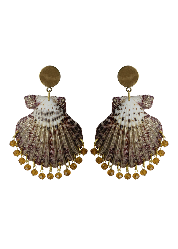 Shell Earrings