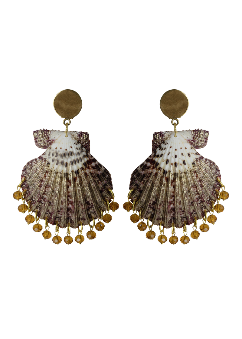 Shell Earrings
