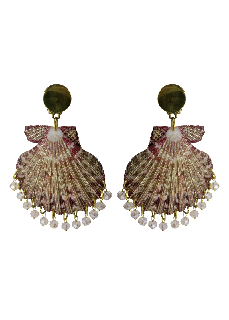 Shell Earrings