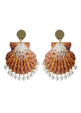 Shell Earrings