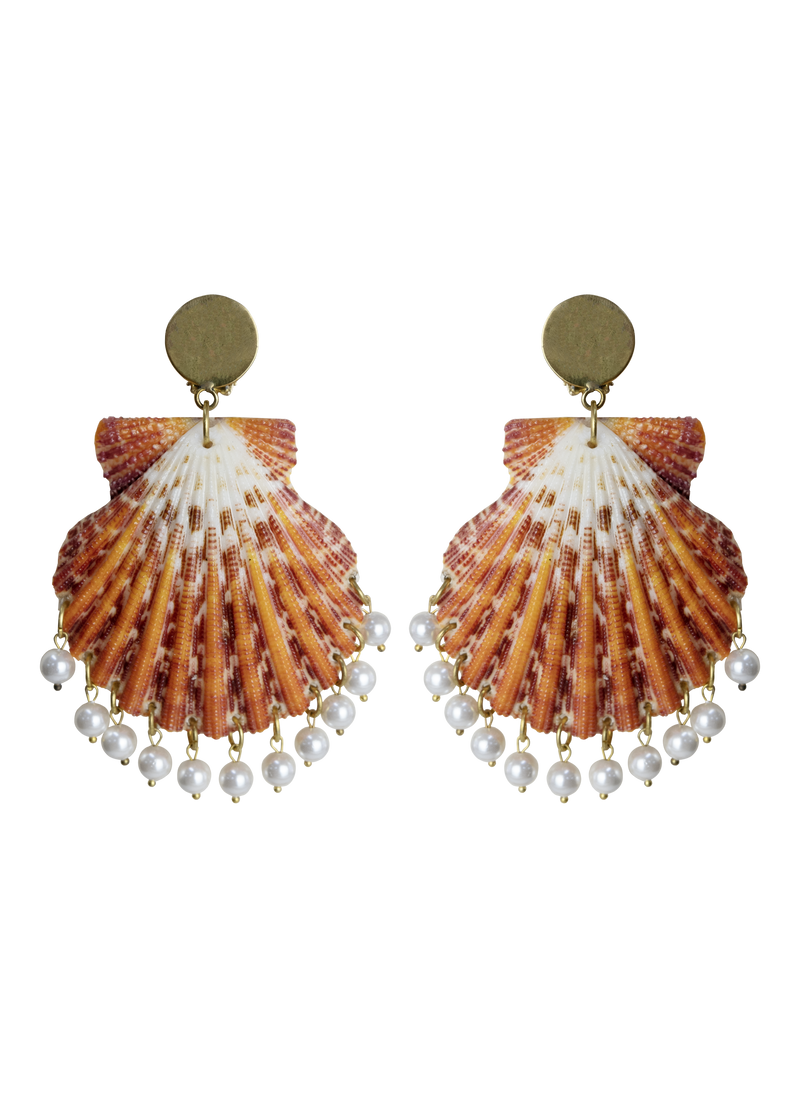 Shell Earrings