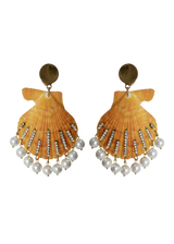 Shell Earrings