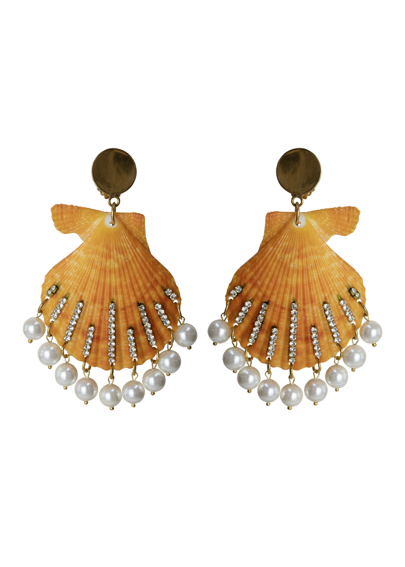 Shell Earrings