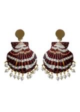 Shell Earrings