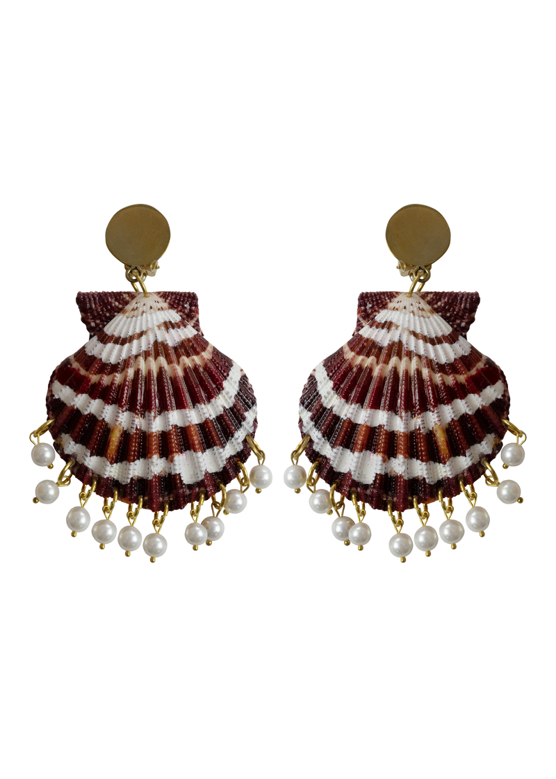 Shell Earrings