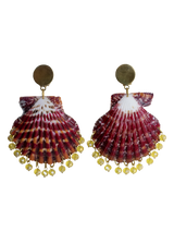 Shell Earrings