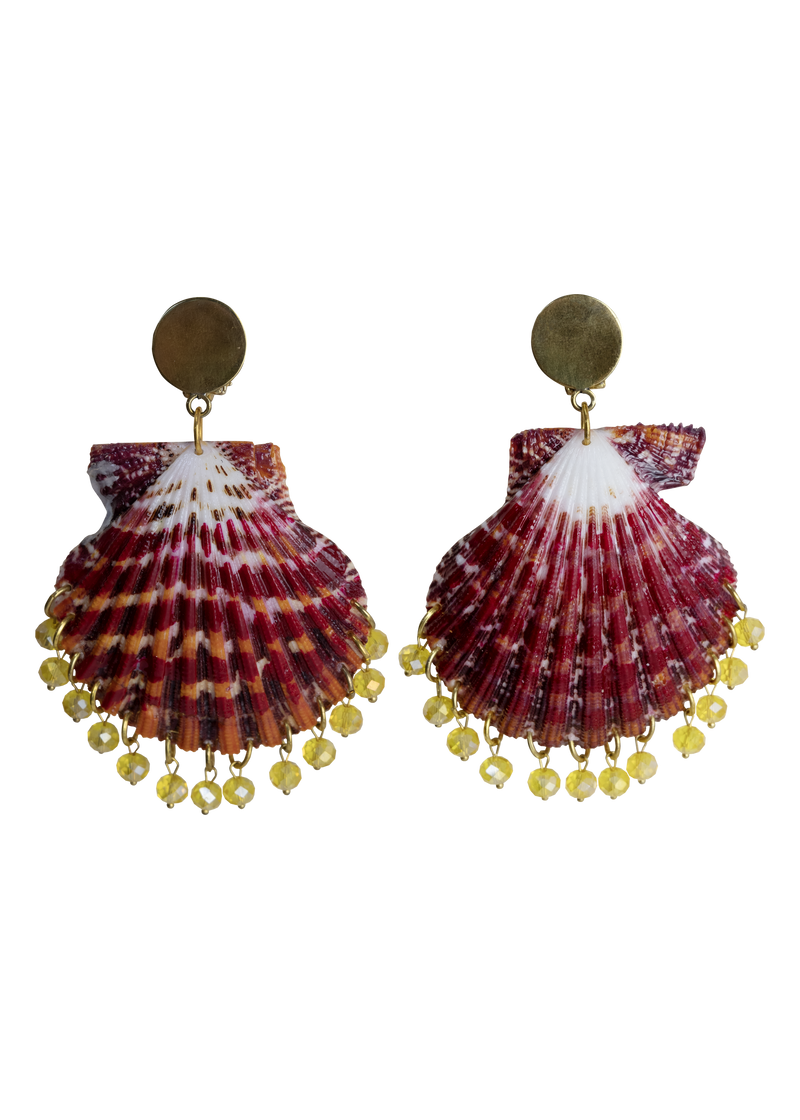 Shell Earrings
