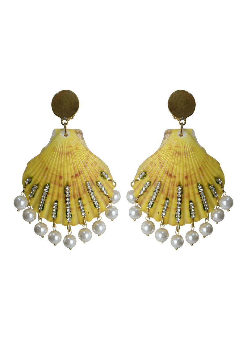 Shell Earrings