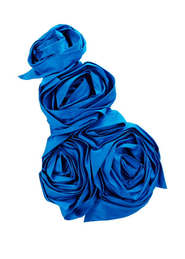 Devlin Rose Blue Top