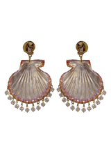 Shell Earrings