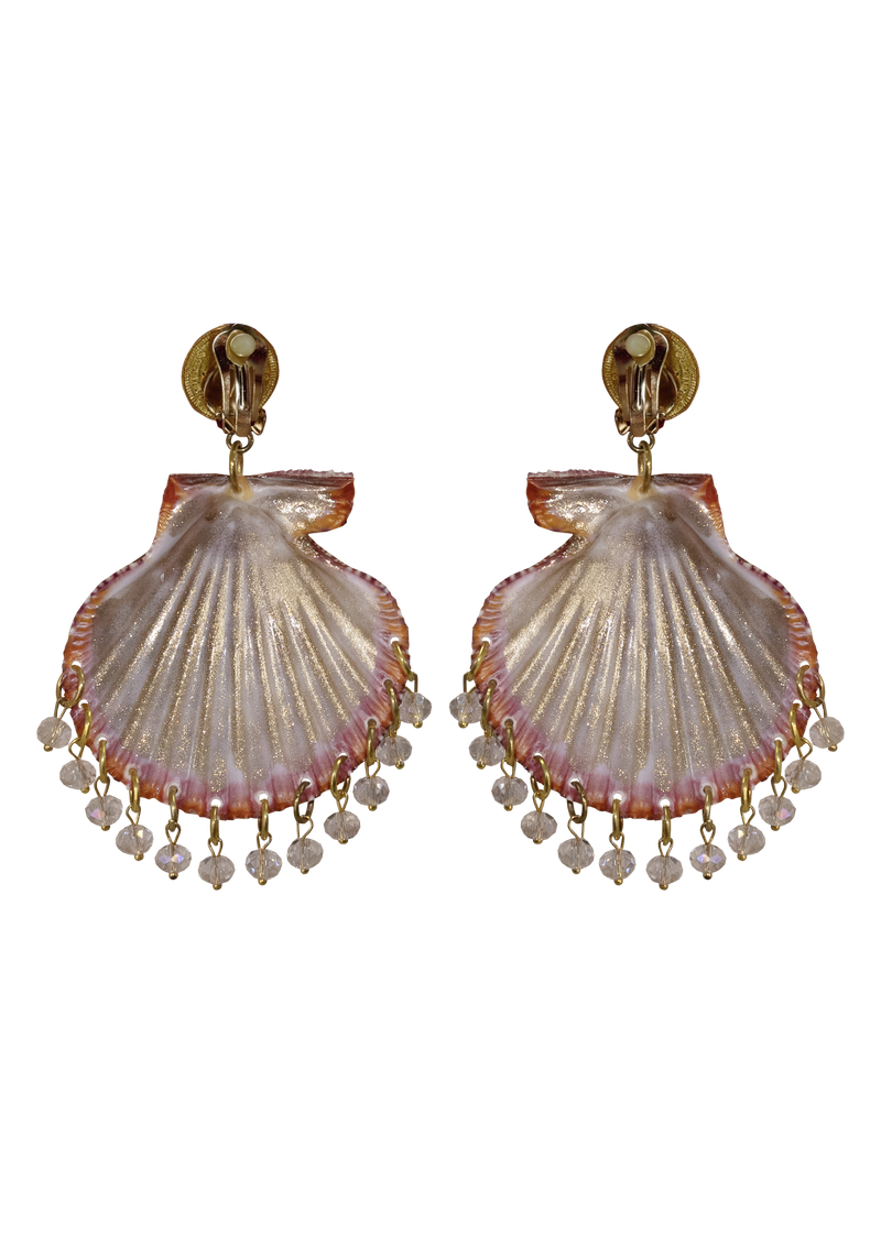 Shell Earrings