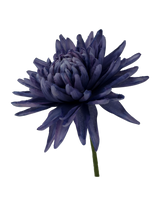 Chrysanthemums Brooch