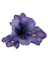 Iris Brooch