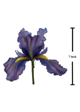 Iris Brooch