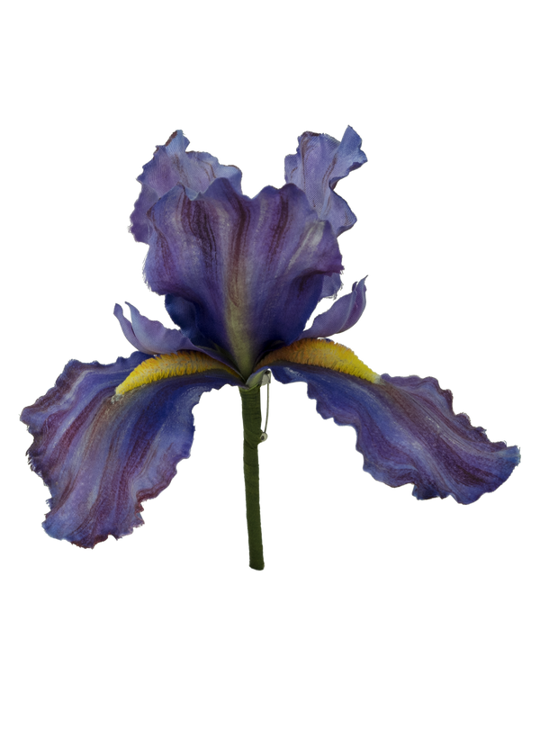 Iris Brooch